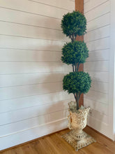 Load image into Gallery viewer, French Topiaries