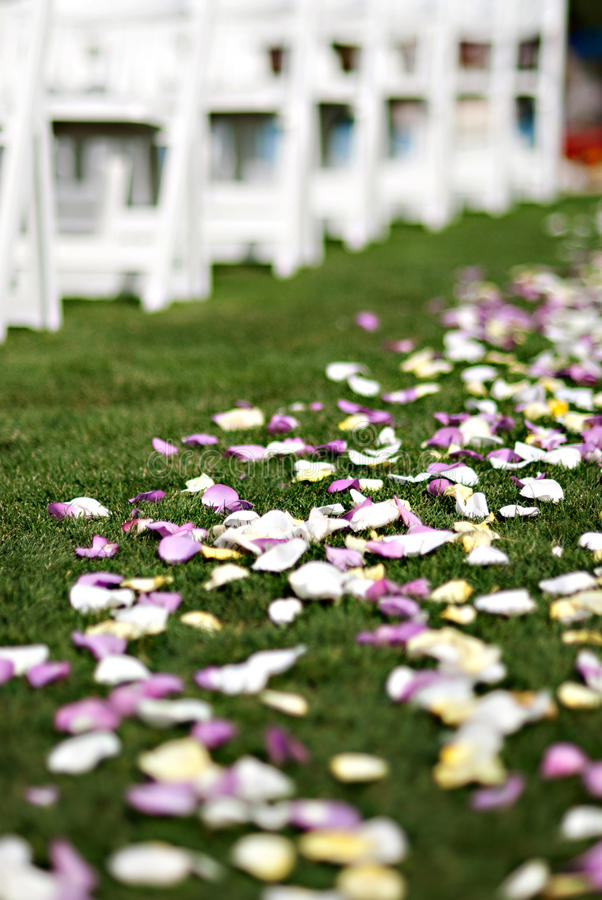 Flower Petal CleanUp Service The Seclusion Rentals